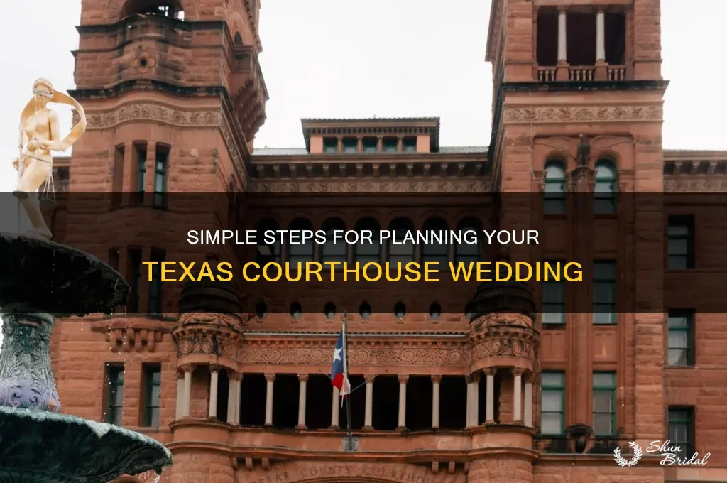 how to have a courthouse wedding in Texas
