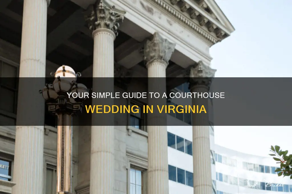 how to have a courthouse wedding in Virginia