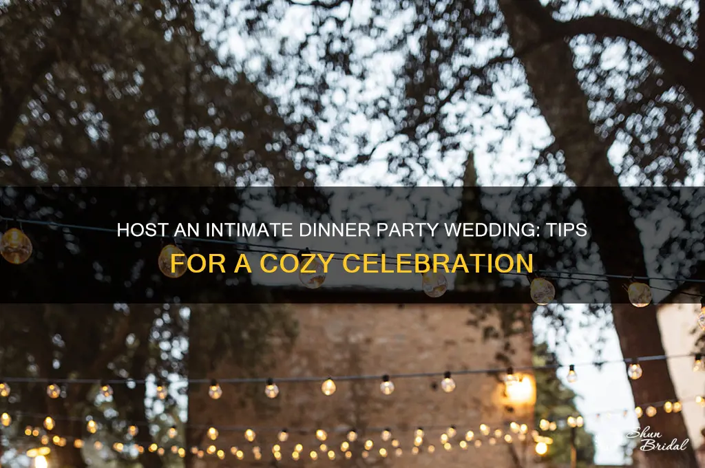 how to have a dinner party wedding