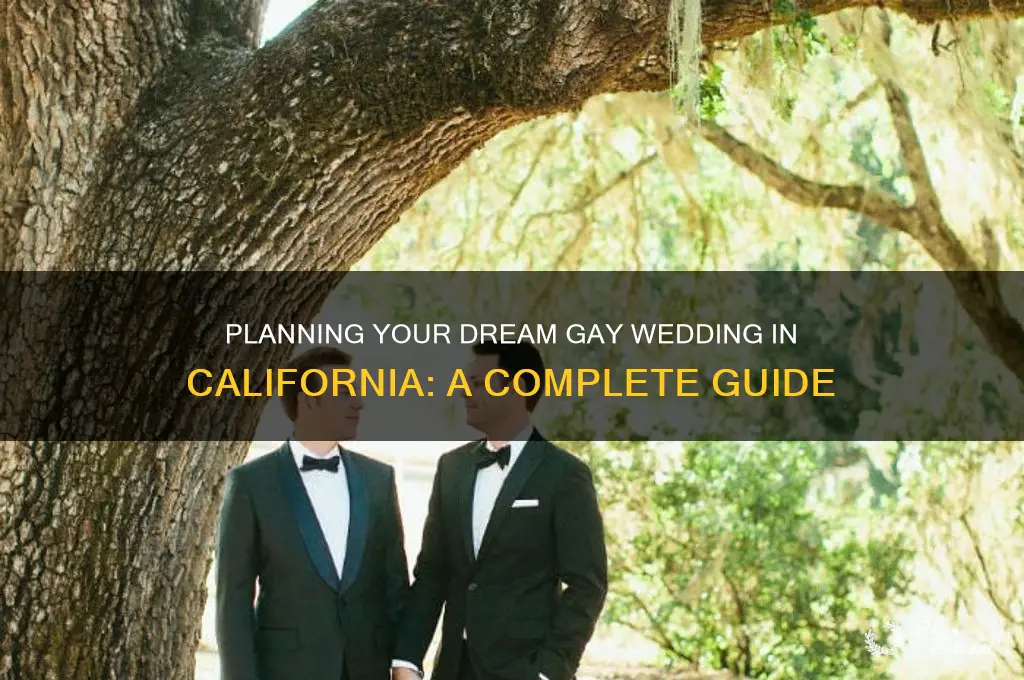 how to have a gay wedding in California