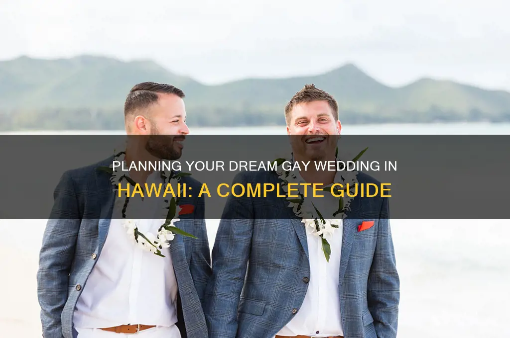 how to have a gay wedding in hawaii