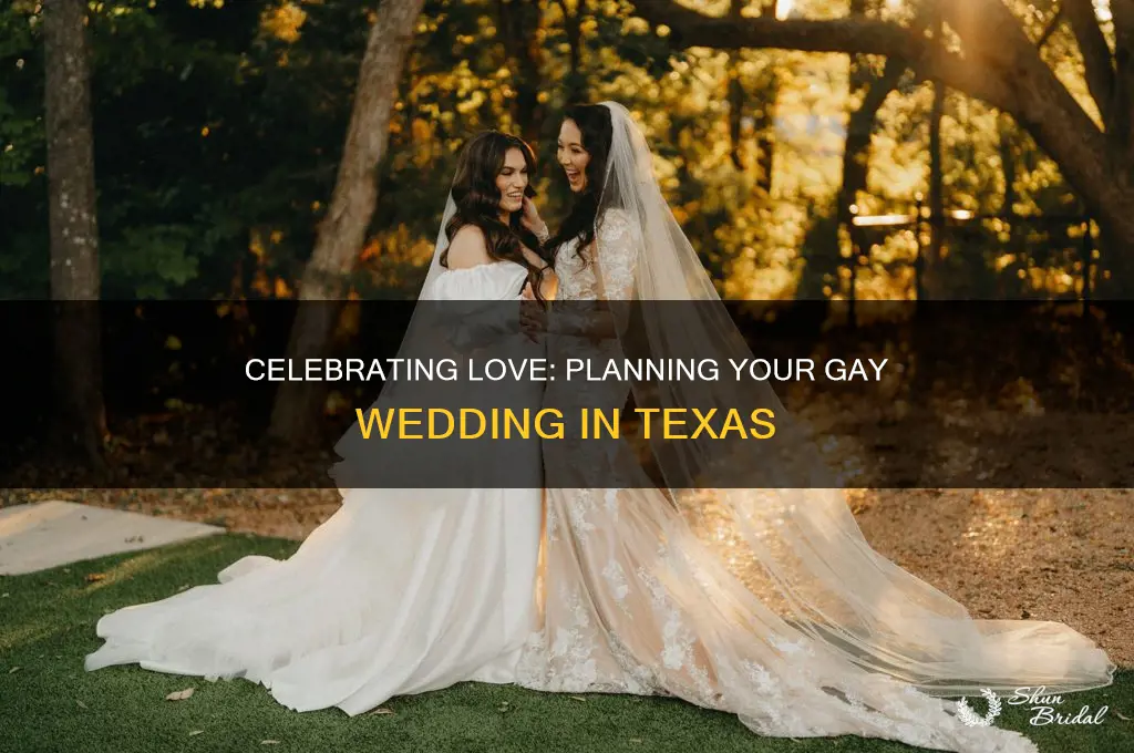 how to have a gay wedding in Texas