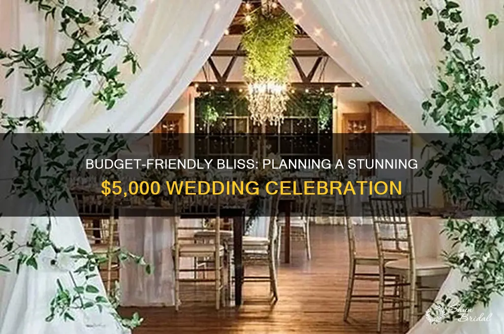 how to have a great 5 000 dollar wedding