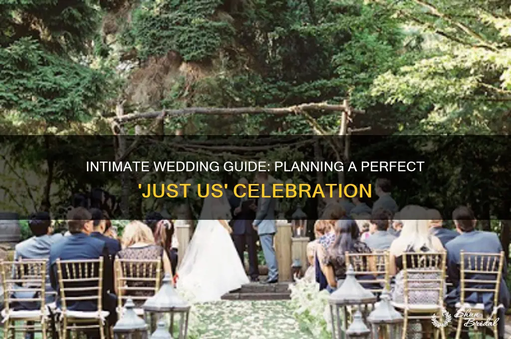 how to have a just us wedding