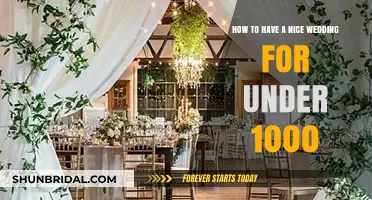 Budget-Friendly Bliss: Planning a Beautiful Wedding for Under $1000