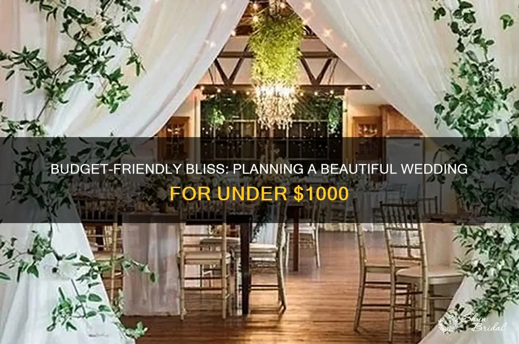 how to have a nice wedding for under 1000