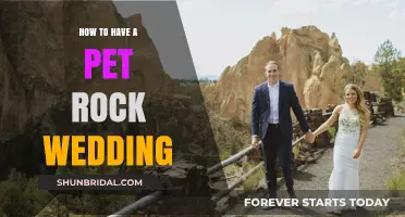 Pet Rock Wedding: Creative Ideas for a Unique, Fun Ceremony