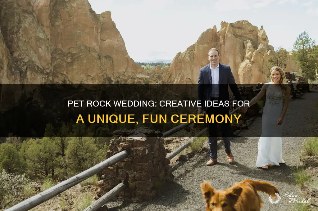 how to have a pet rock wedding