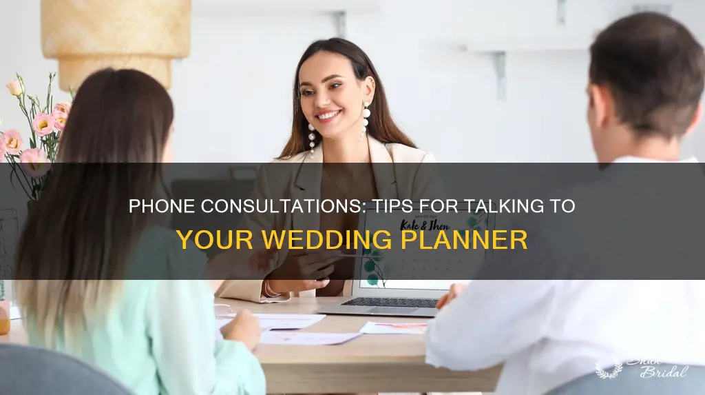 how to have a phone consultation wedding planner