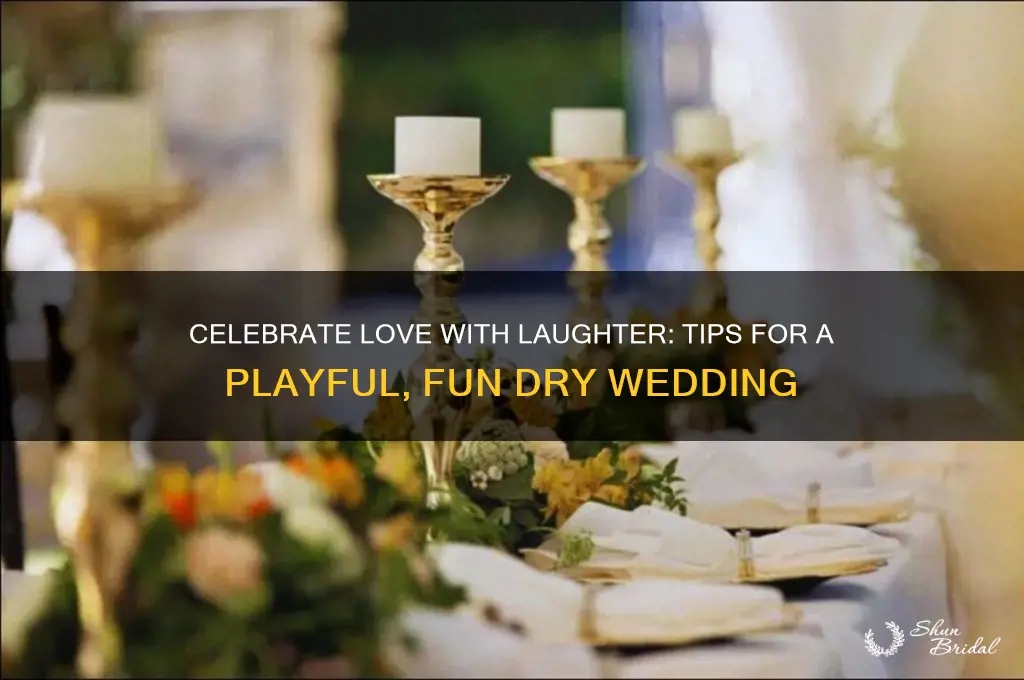 how to have a playful fun dry wedding