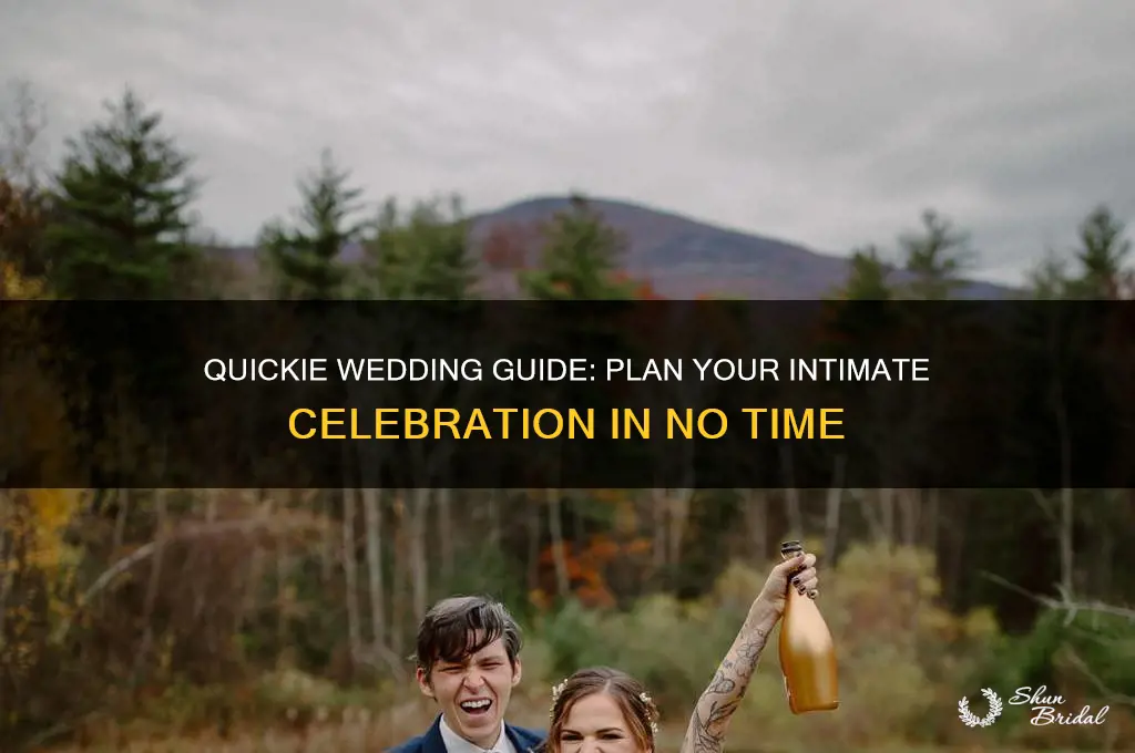 how to have a quickie wedding