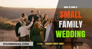 Intimate Celebrations: Planning a Perfect Small Family Wedding