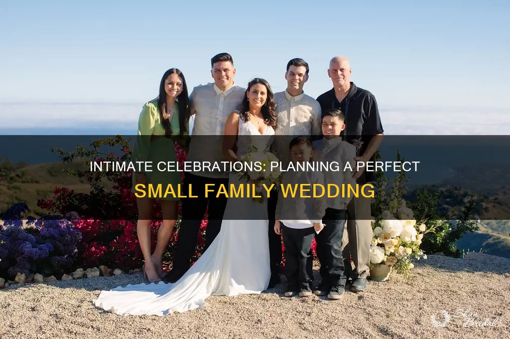 how to have a small family wedding