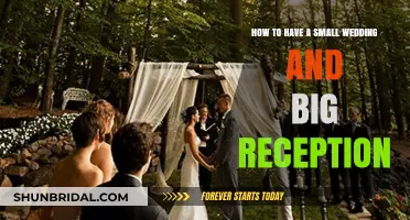 Small Wedding, Big Reception: How to Have Both