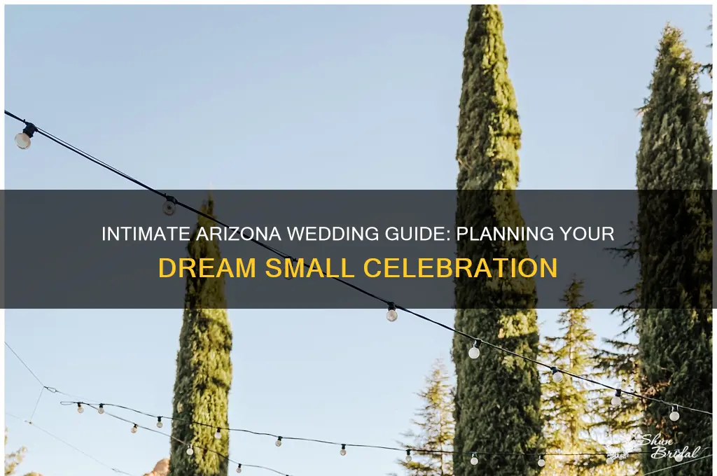 how to have a small wedding in Arizona