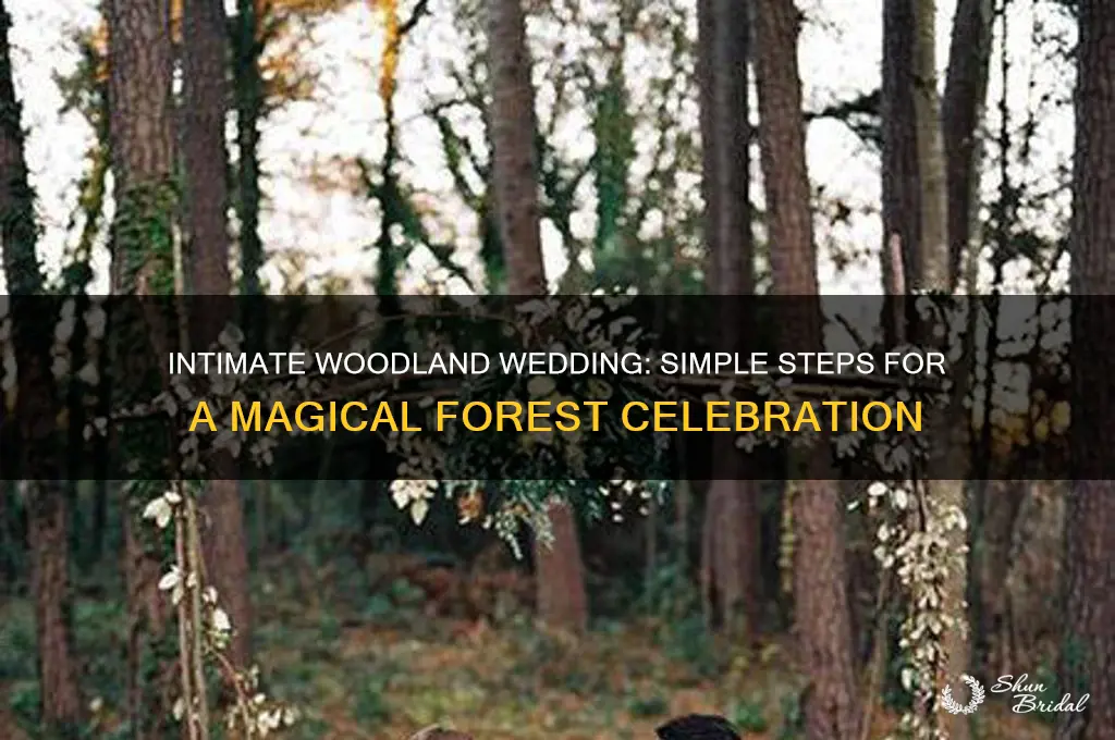 how to have a small wedding in the woods