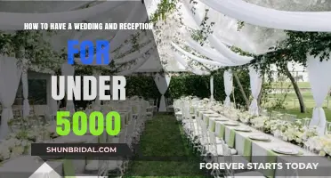 Affordable Dream Wedding: Reception Included for Under $5000