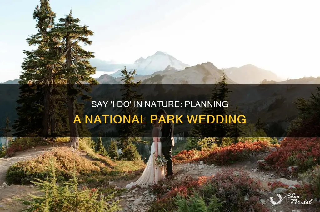 how to have a wedding at a national park