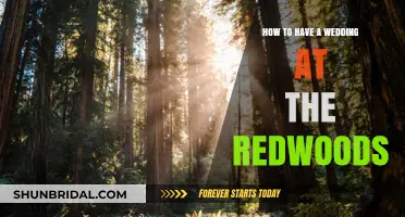 Redwood Romance: Planning Your Dream Wedding Among the Giants
