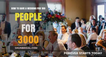 Budget-Friendly Wedding Guide: Hosting 100 Guests for Just $3000