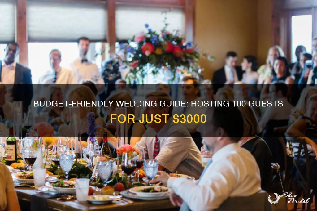 how to have a wedding for 100 people for 3000