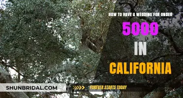 Budget-Friendly California Wedding: Under $5000 Planning Guide