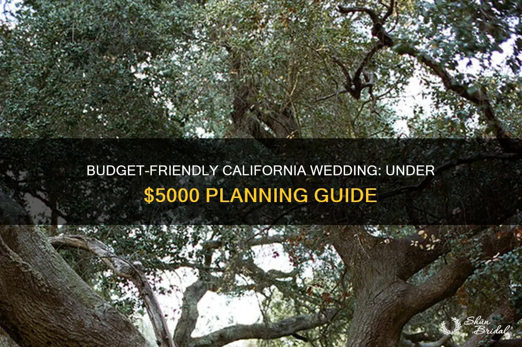 how to have a wedding for under 5000 in California