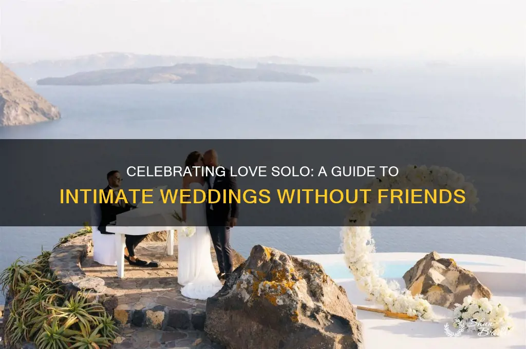 how to have a wedding if you have no friends