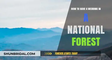Planning Your Dream Wedding in a National Forest: A Guide