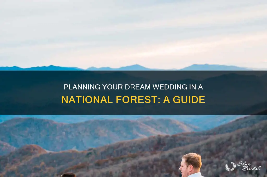 how to have a wedding in a national forest