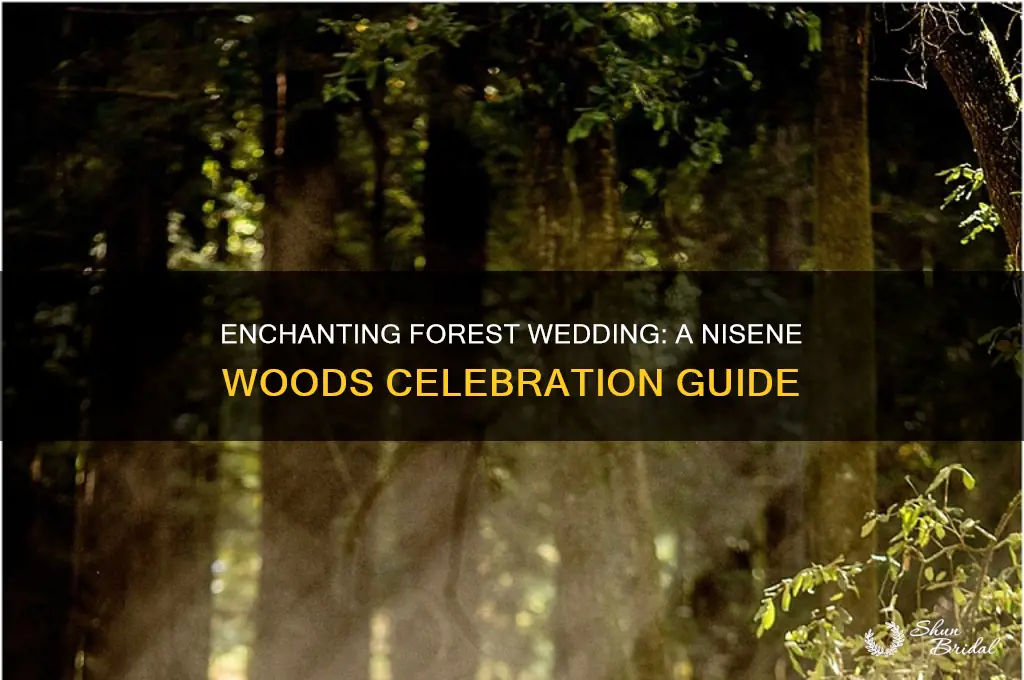 how to have a wedding in the forest of nisene