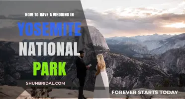 Yosemite Wedding Guide: Planning Your Dream National Park Celebration