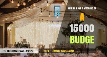 Affordable Wedding Bliss: Planning Your Dream Day on a $15,000 Budget