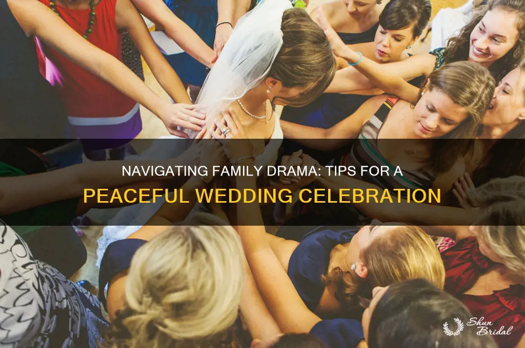 how to have a wedding with a dysfunctional family