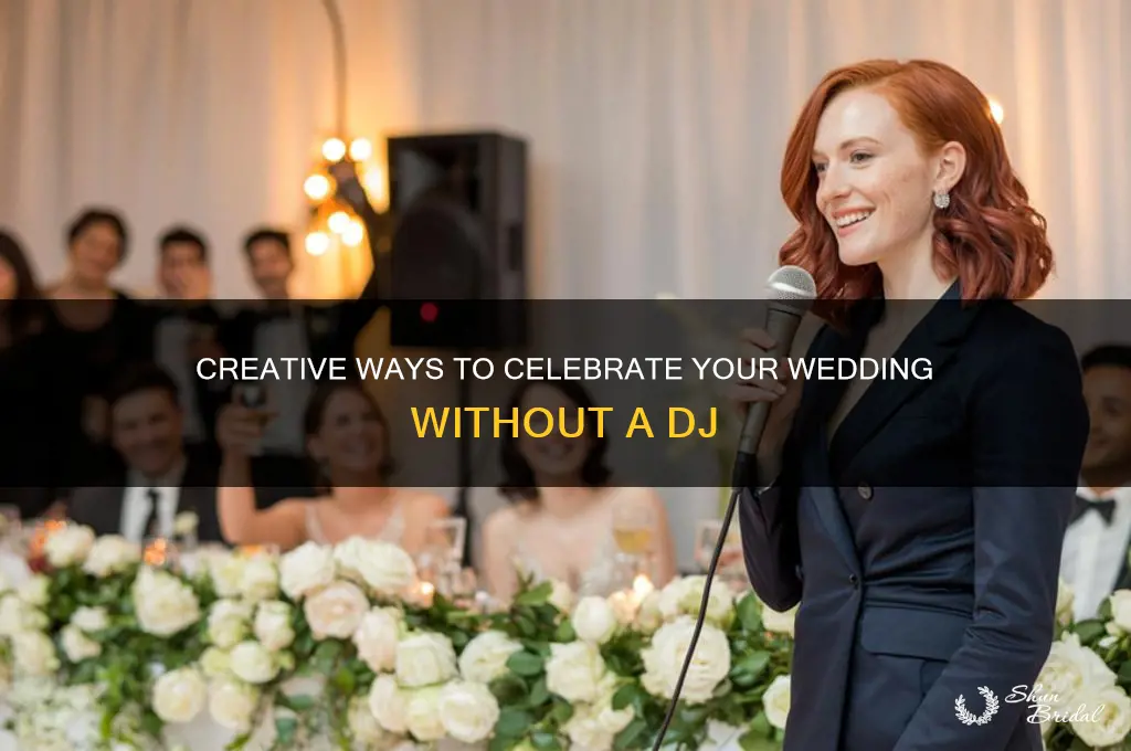 how to have a wedding with no dj