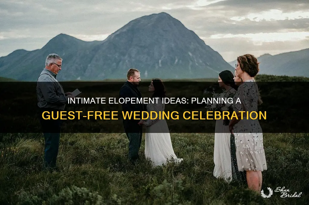 how to have a wedding with no guests