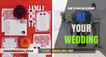 Unique Wedding Ideas: How to Include an Elephant in Your Celebration