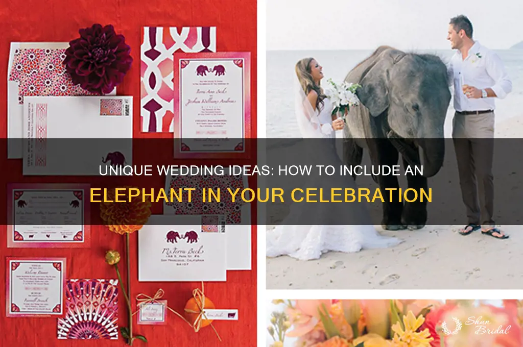 how to have an elephant at your wedding