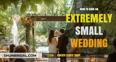 Intimate Celebrations: Planning the Perfect Small-Scale Wedding
