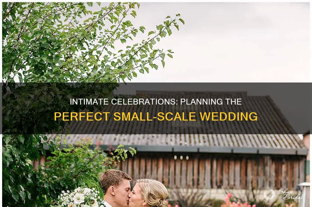 how to have an extremely small wedding