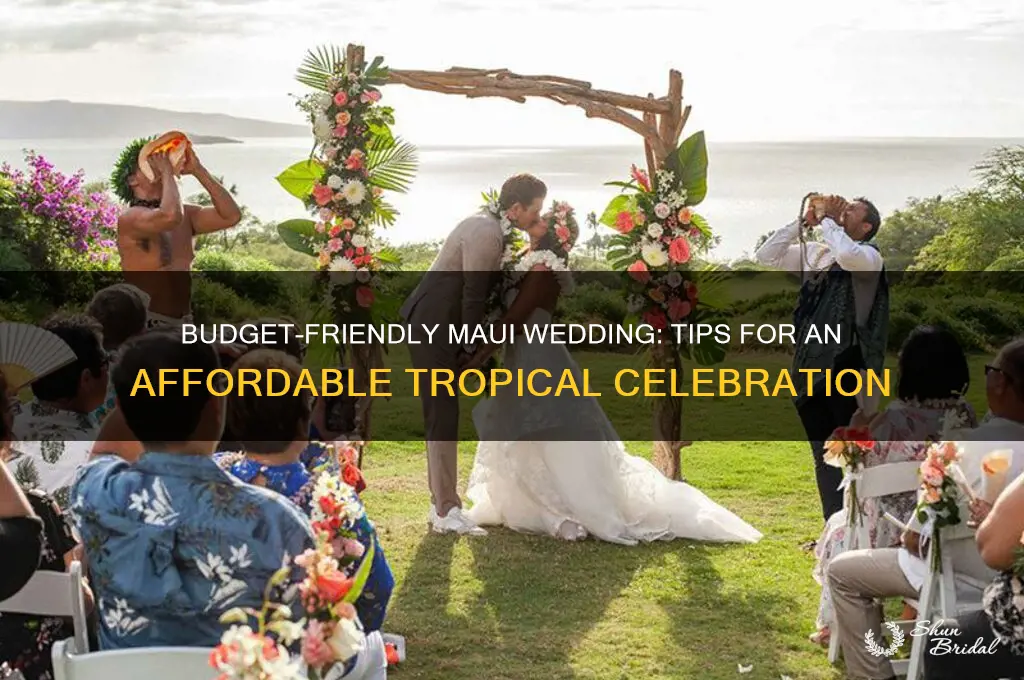 how to have an inexpensive wedding in maui