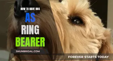 Guide to a Dog Ring Bearer