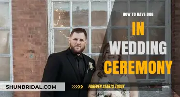 Incorporating Your Furry Friend: A Guide to Including Dogs in Weddings
