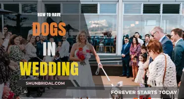 Incorporating Your Furry Friends: A Guide to Including Dogs in Your Wedding