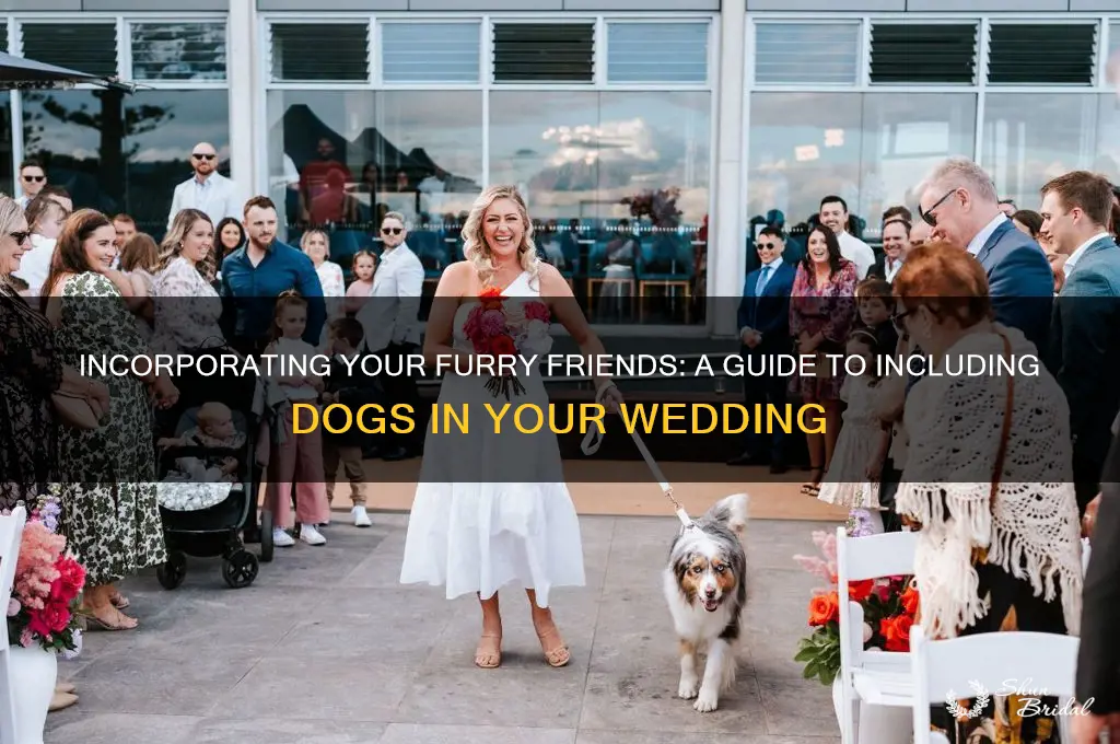 how to have dogs in wedding