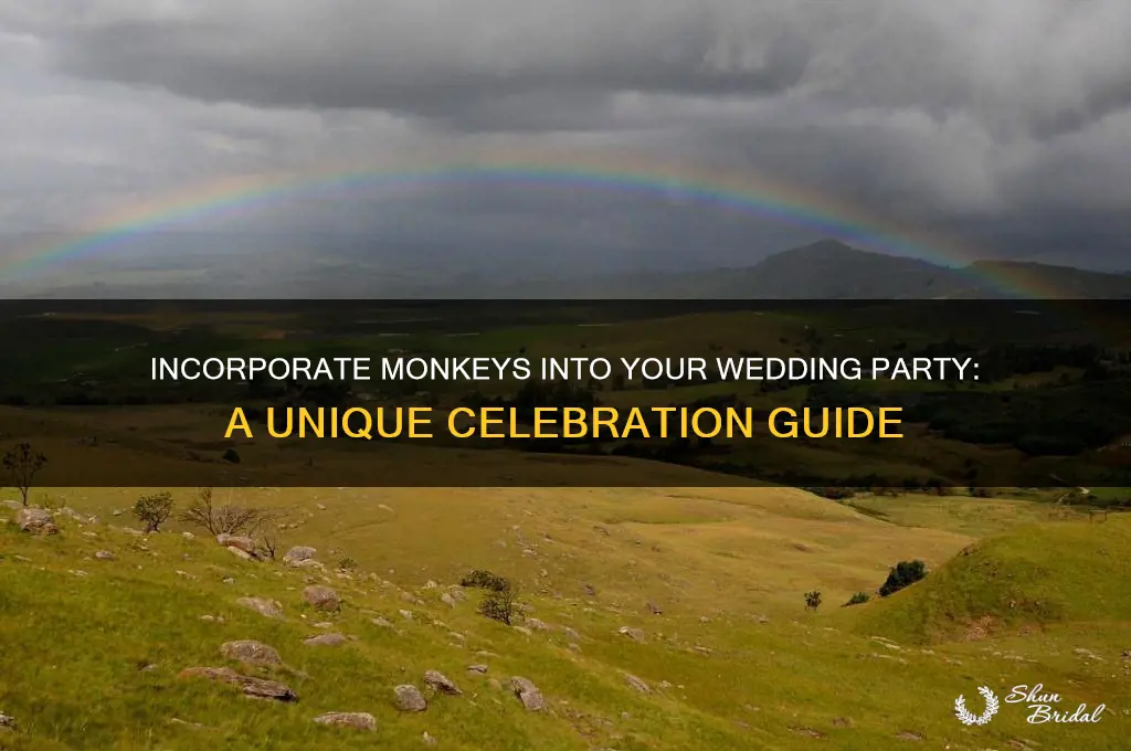 how to have monkeys in your wedding party