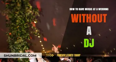 Creative Ways to Enjoy Wedding Music Without Hiring a DJ