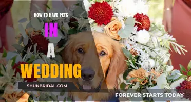 Incorporating Furry Friends: A Guide to Including Pets in Your Wedding