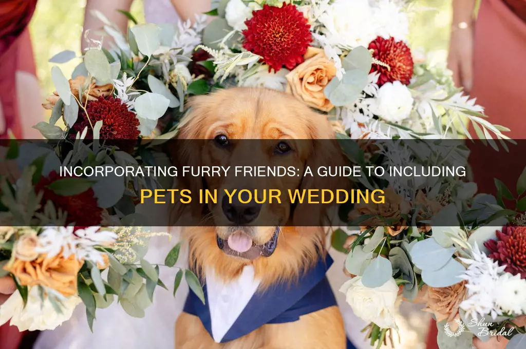 how to have pets in a wedding