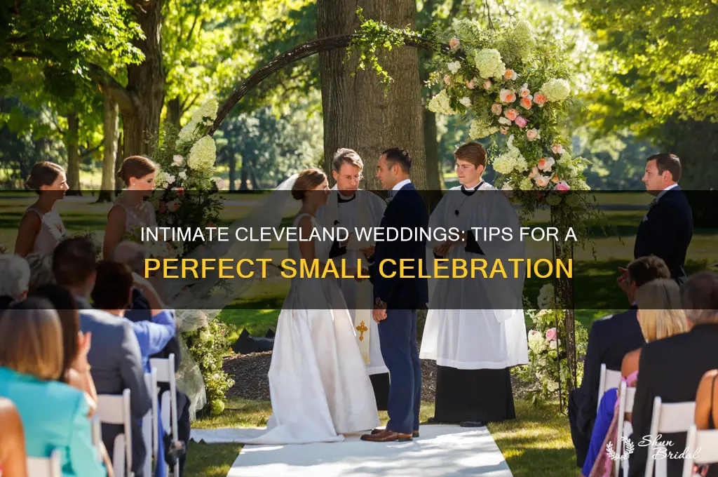 how to have small wedding cleveland